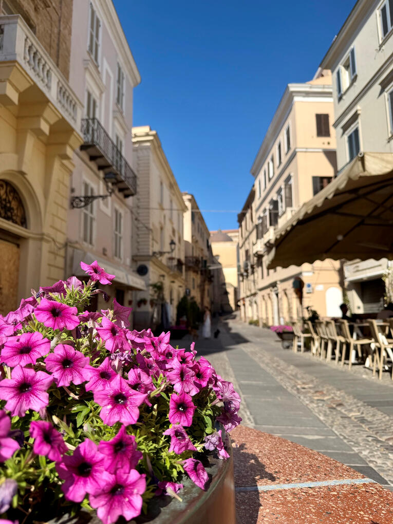 Café Cafés and restaurants in the historic centre of Alghero
